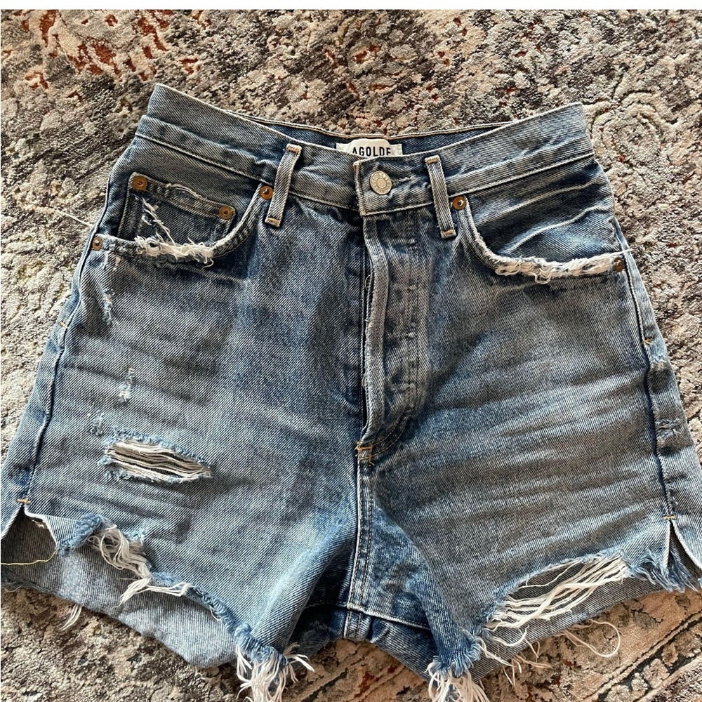 Agolde Dee Shorts in Ricochet